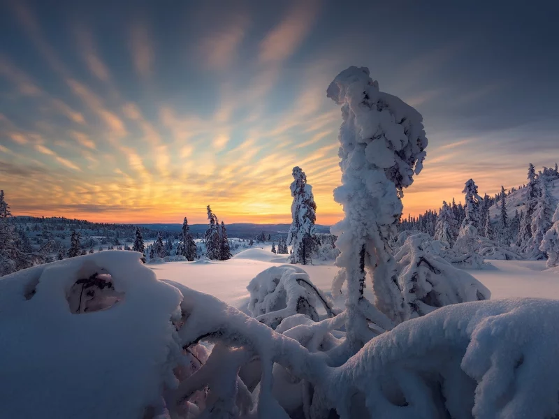 пейзаж, природа, красота