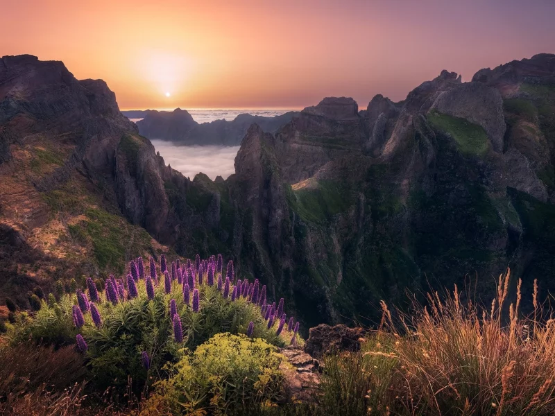 пейзаж, природа, красота