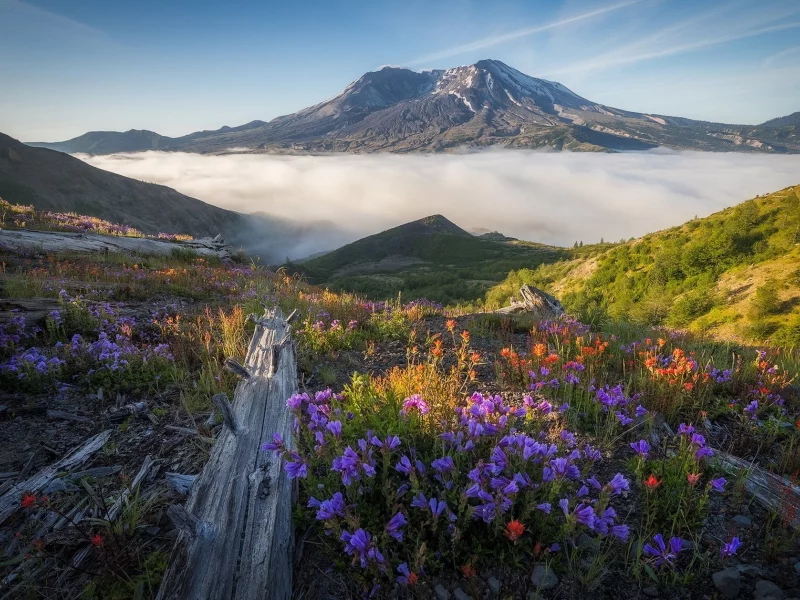 пейзаж, природа, красота