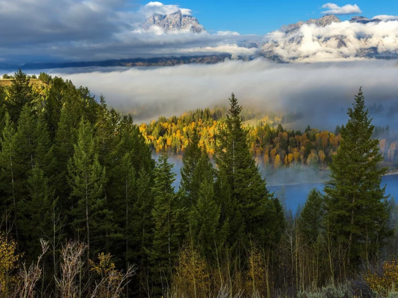 пейзаж, природа, красота