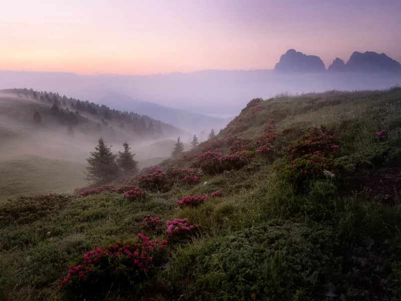 пейзаж, природа, красота