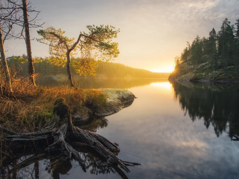 пейзаж, природа, красота