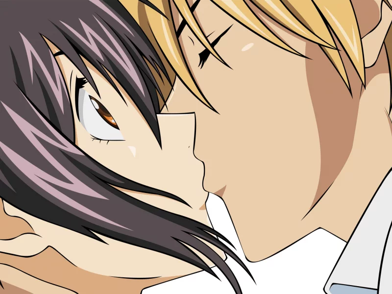 kaichou wa maid sama, президент студсовета горничная