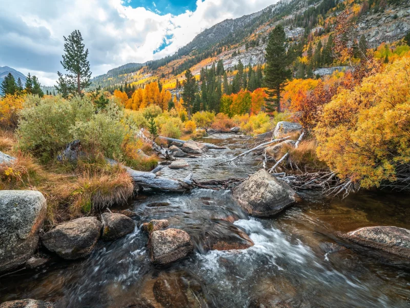 пейзаж, природа, красота