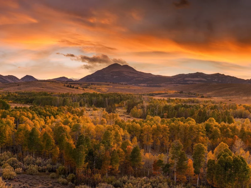 пейзаж, природа, красота