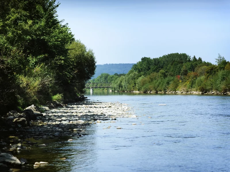 речка, деревья, вода
