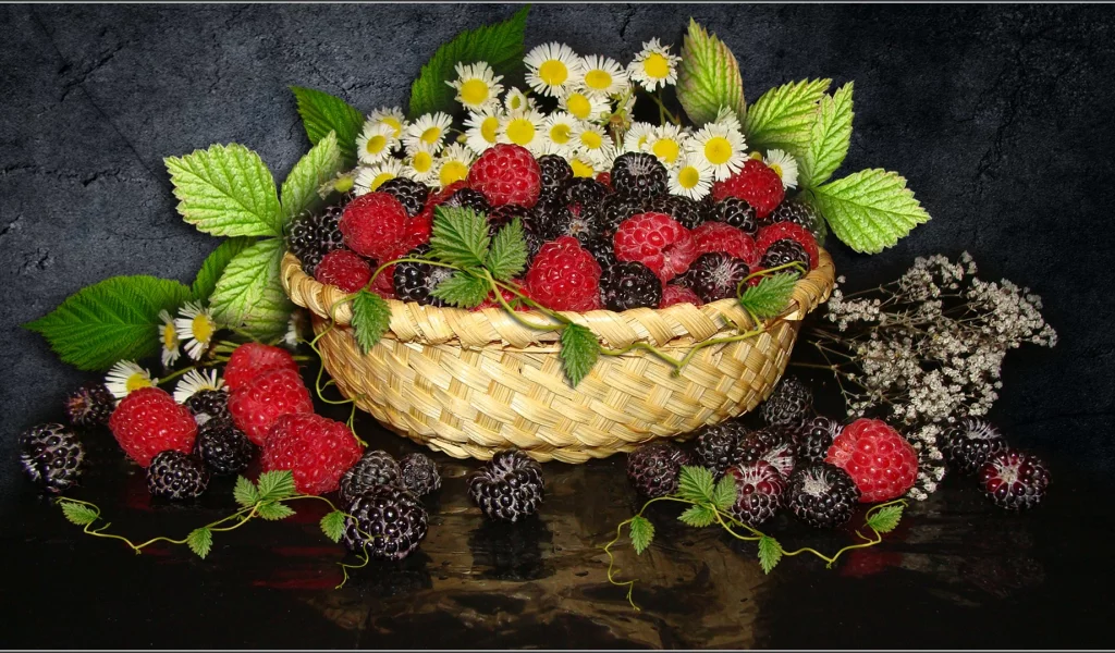 малина, ежевика, ромашки