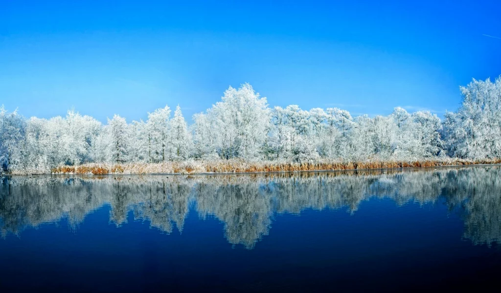 река, зима, деревья в снегу