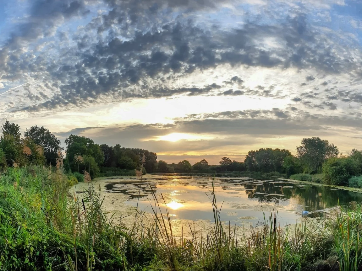 пейзаж, природа, красота