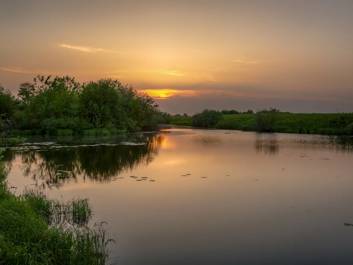 закат, пейзаж, лето, природа, река