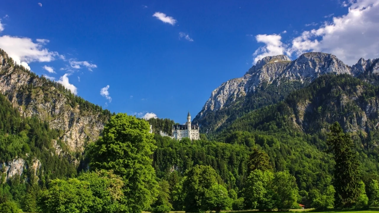 гора, лес, деревья