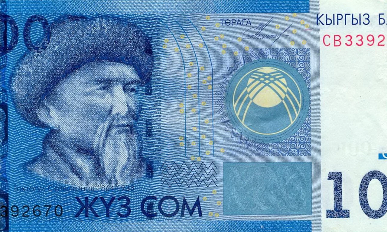деньги, киргизия, 100, сомов