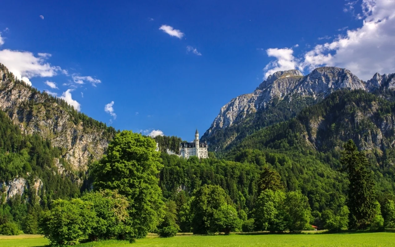 гора, лес, деревья