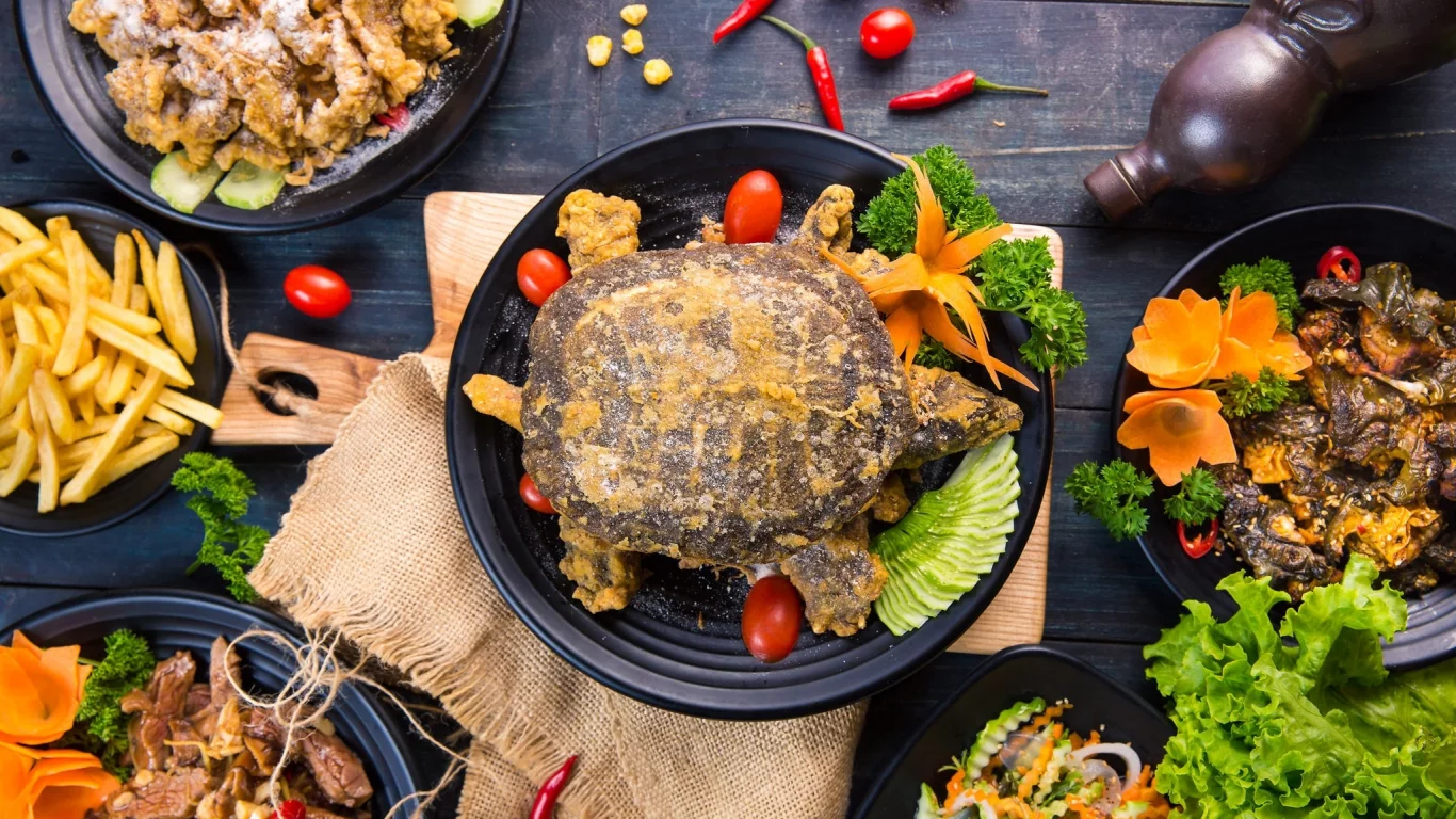 азиатская кухня, салаты, сервировка, черепаха