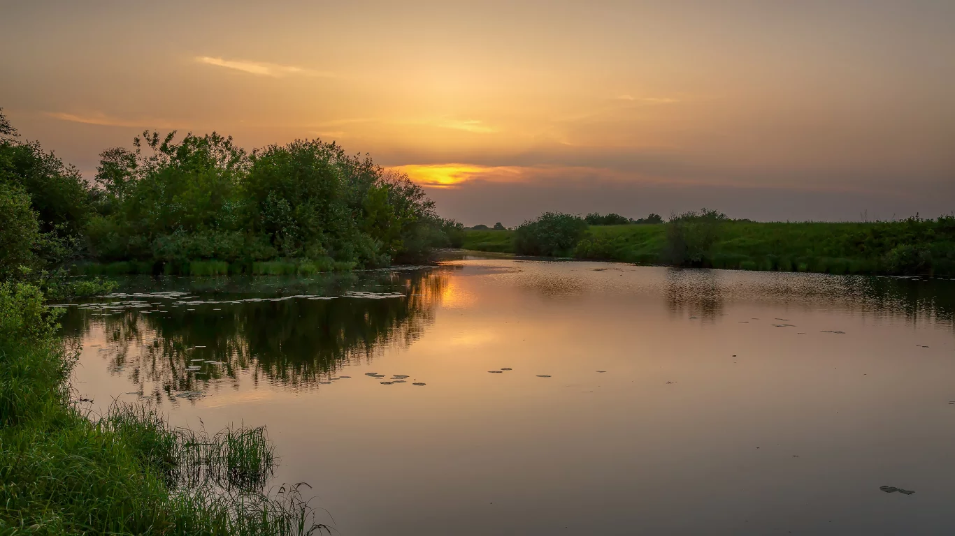 закат, пейзаж, лето, природа, река