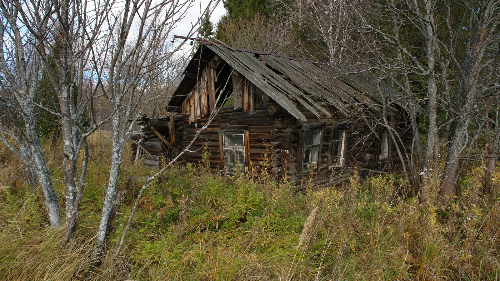 избушка в осеннем лесу, полуистлевшая