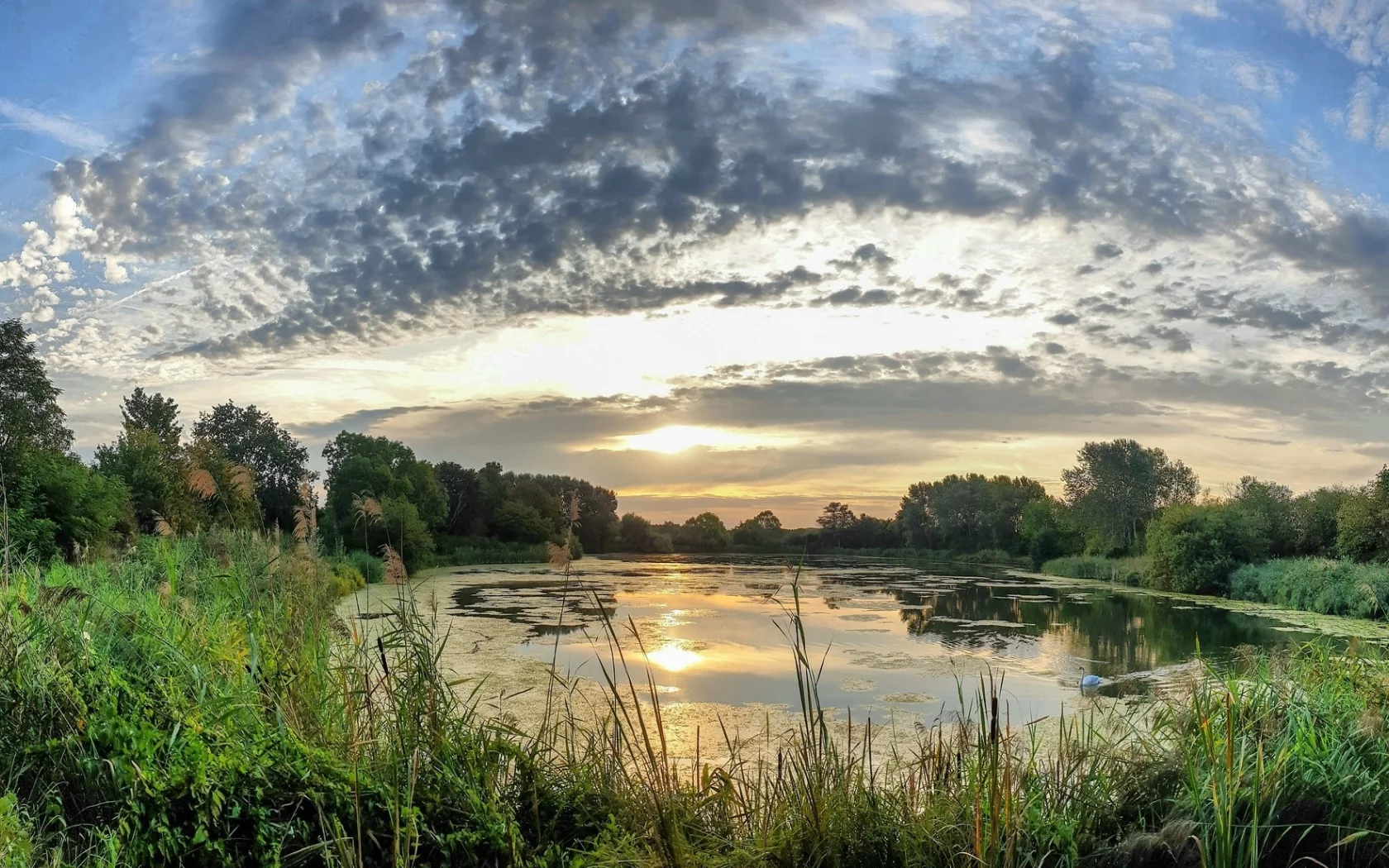 пейзаж, природа, красота