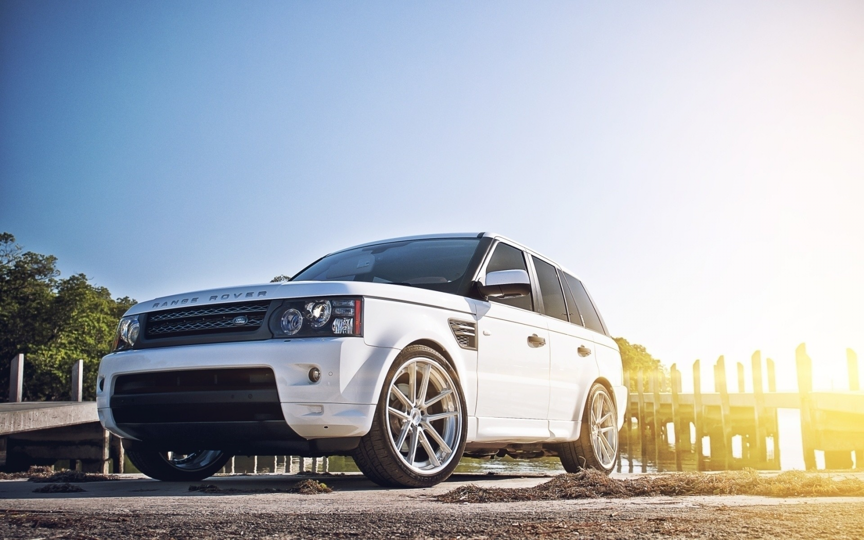 auto, range rover