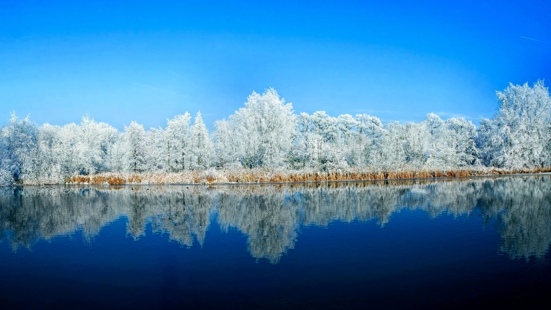 река, зима, деревья в снегу