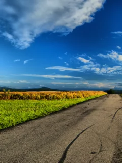 дорога, поле, небо, облака