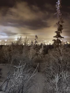 город, зима, лес