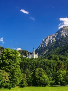 гора, лес, деревья