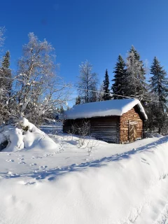 зима, снег, дорога, домик
