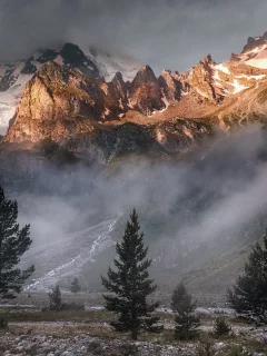 горы, лес, туман