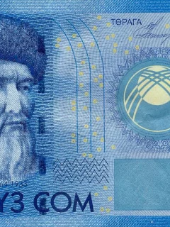 деньги, киргизия, 100, сомов
