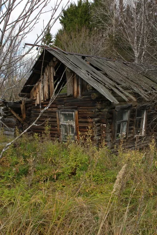 избушка в осеннем лесу, полуистлевшая