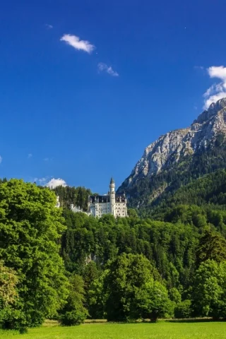 гора, лес, деревья