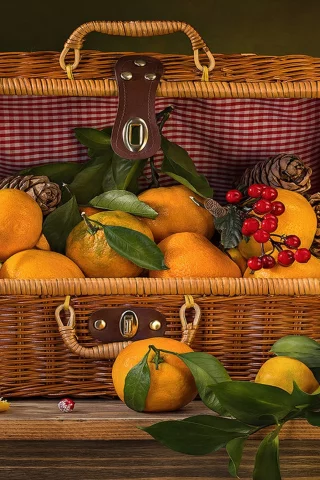 мандарины, фрукты, натюрморт