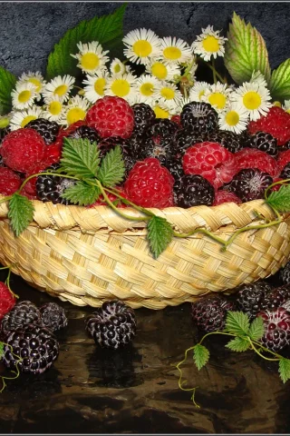 малина, ежевика, ромашки