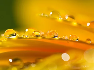 капли воды, макро