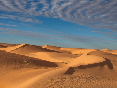 пейзаж, пустыня, бархан, песок
