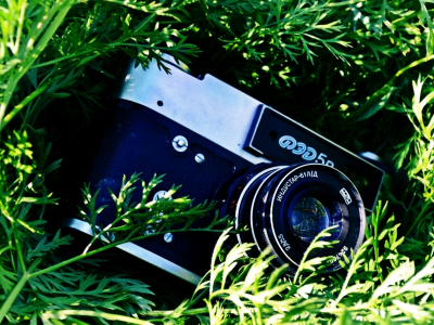 фотоаппарат, лежит в траве