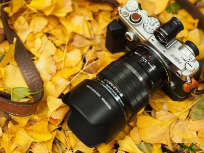 фотоаппарат, листья жёлтые, осень
