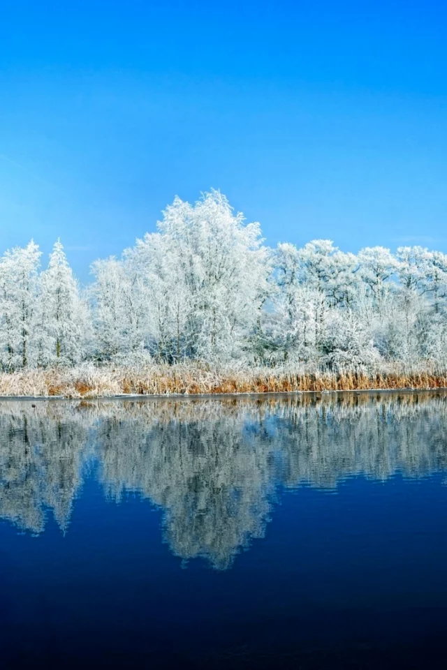 река, зима, деревья в снегу