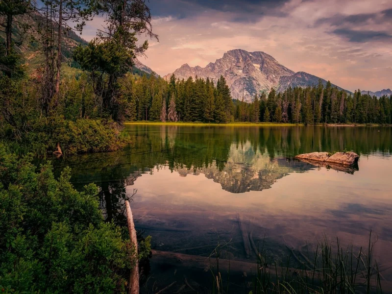 пейзаж, природа, красота
