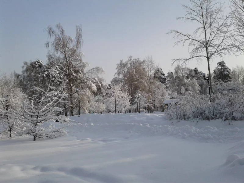 зима, парк