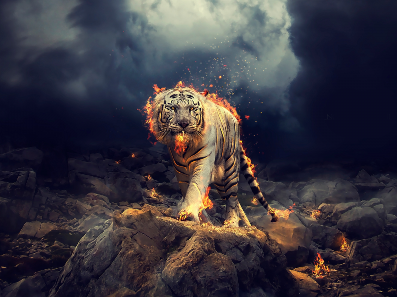 фэнтези, тигр, волшебство, пламя