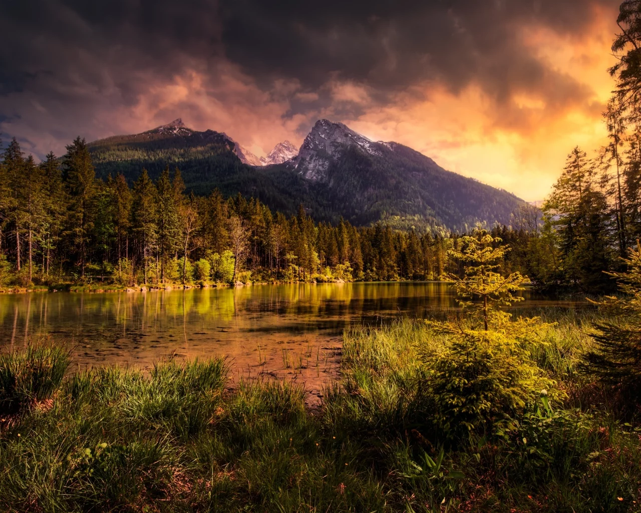 природа, горы, озеро, лес