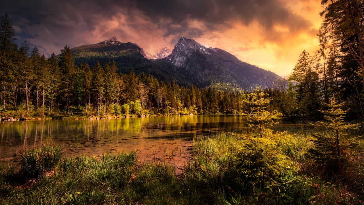 природа, горы, озеро, лес