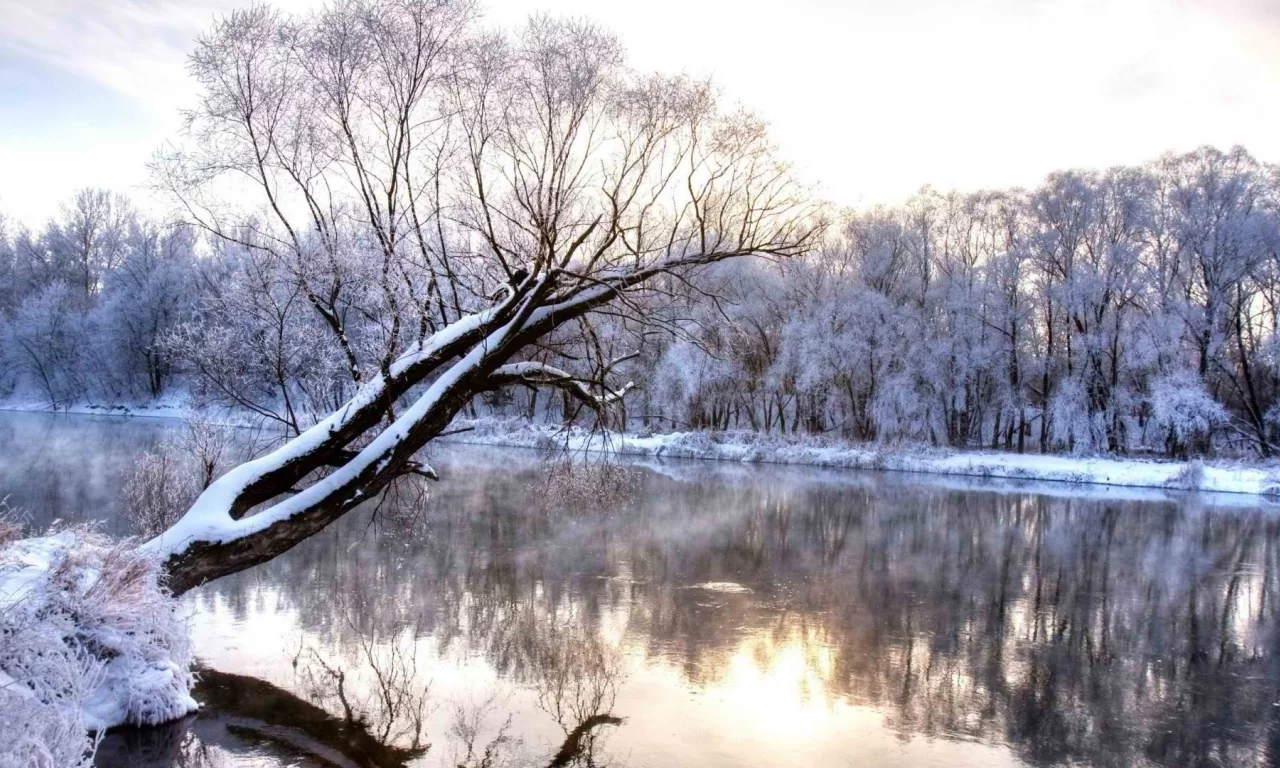 река, дерево, зима