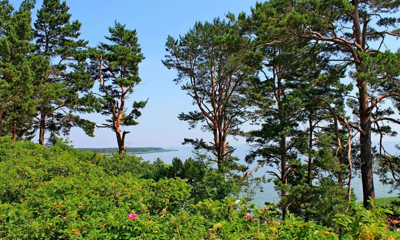лето, море, берег