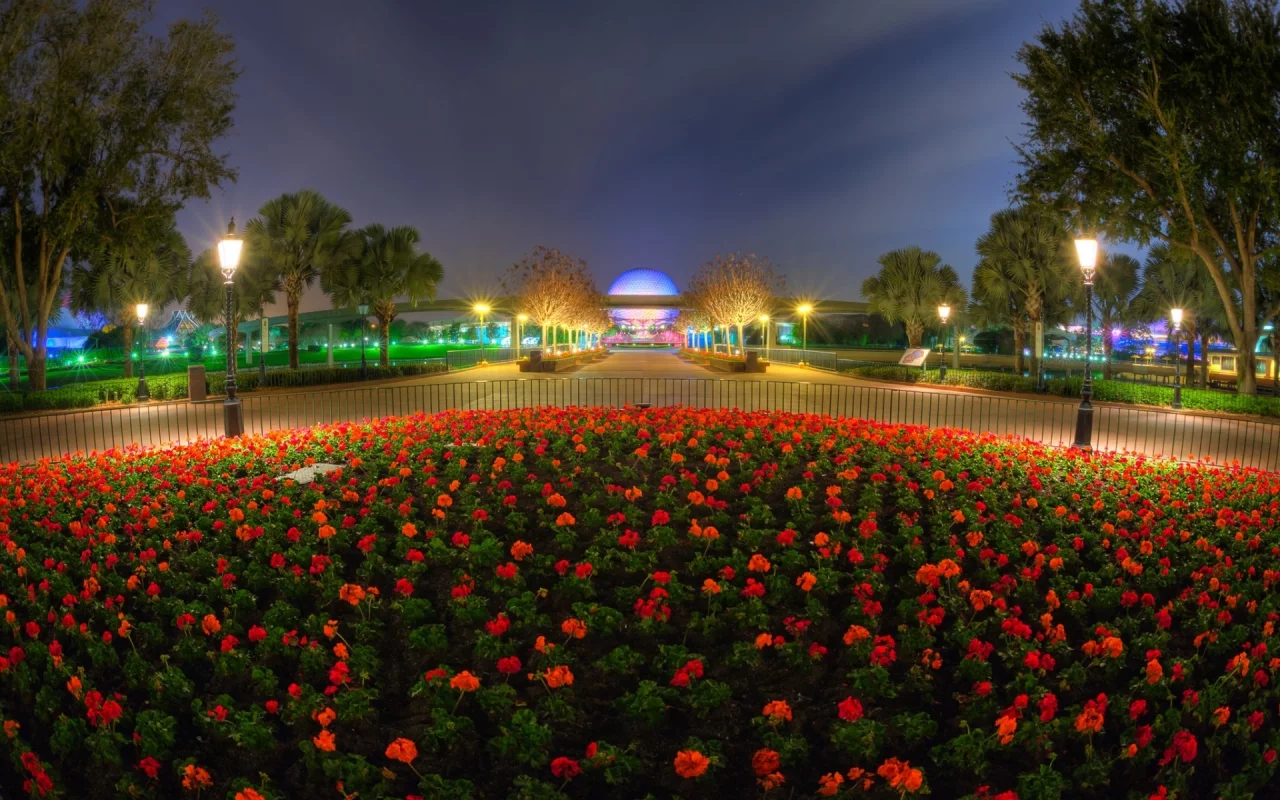 город, вечер, парк, цветы