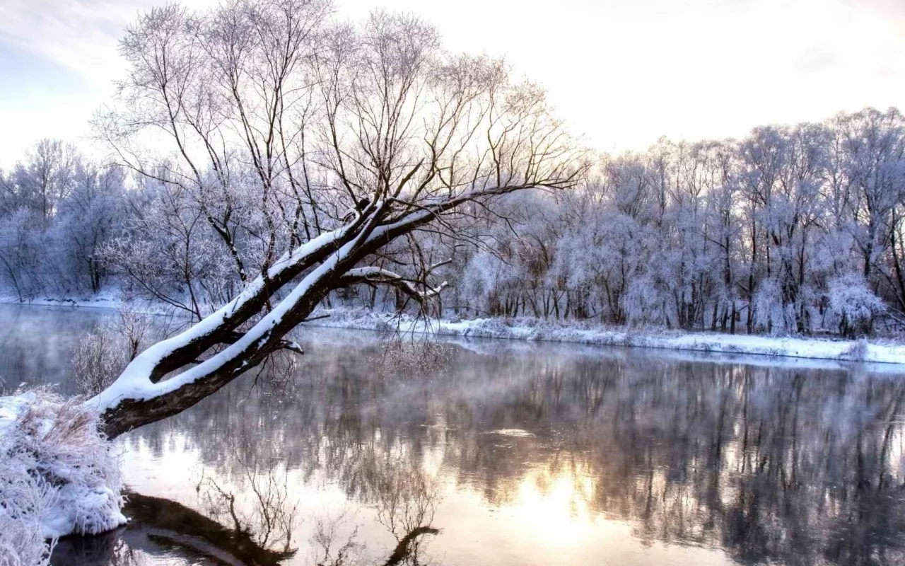 река, дерево, зима