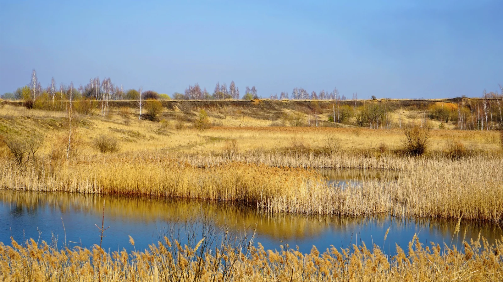 река, небо, трава, осень