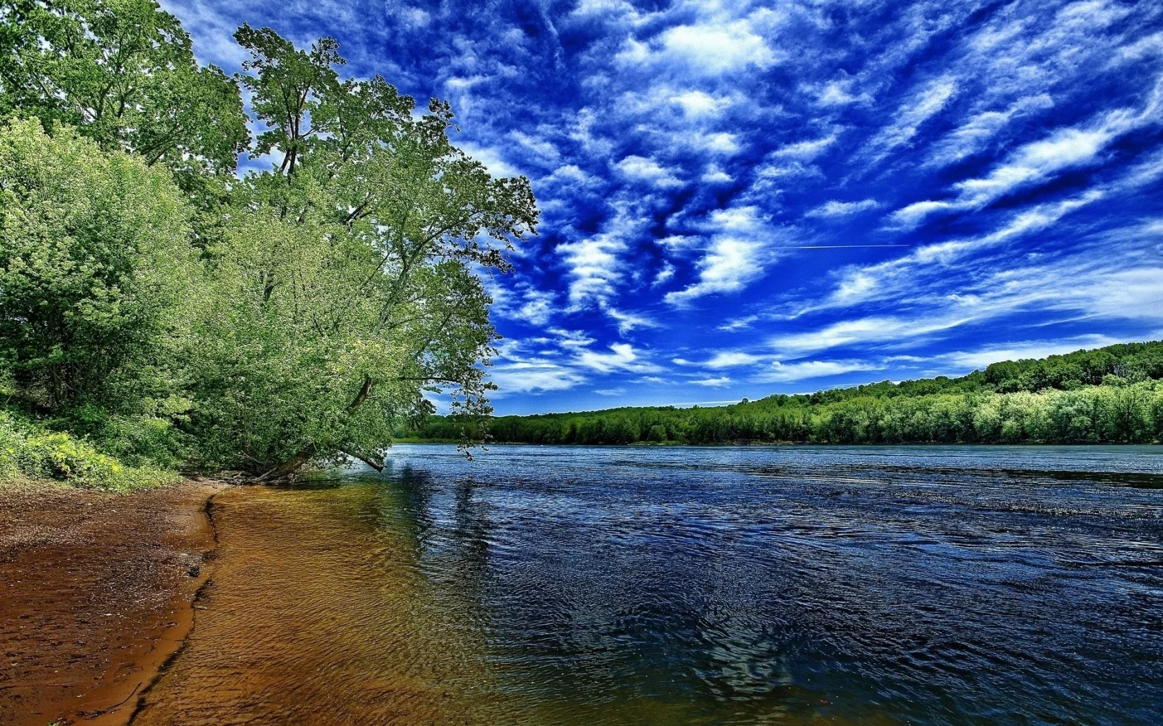 река, берег, дерево, лето