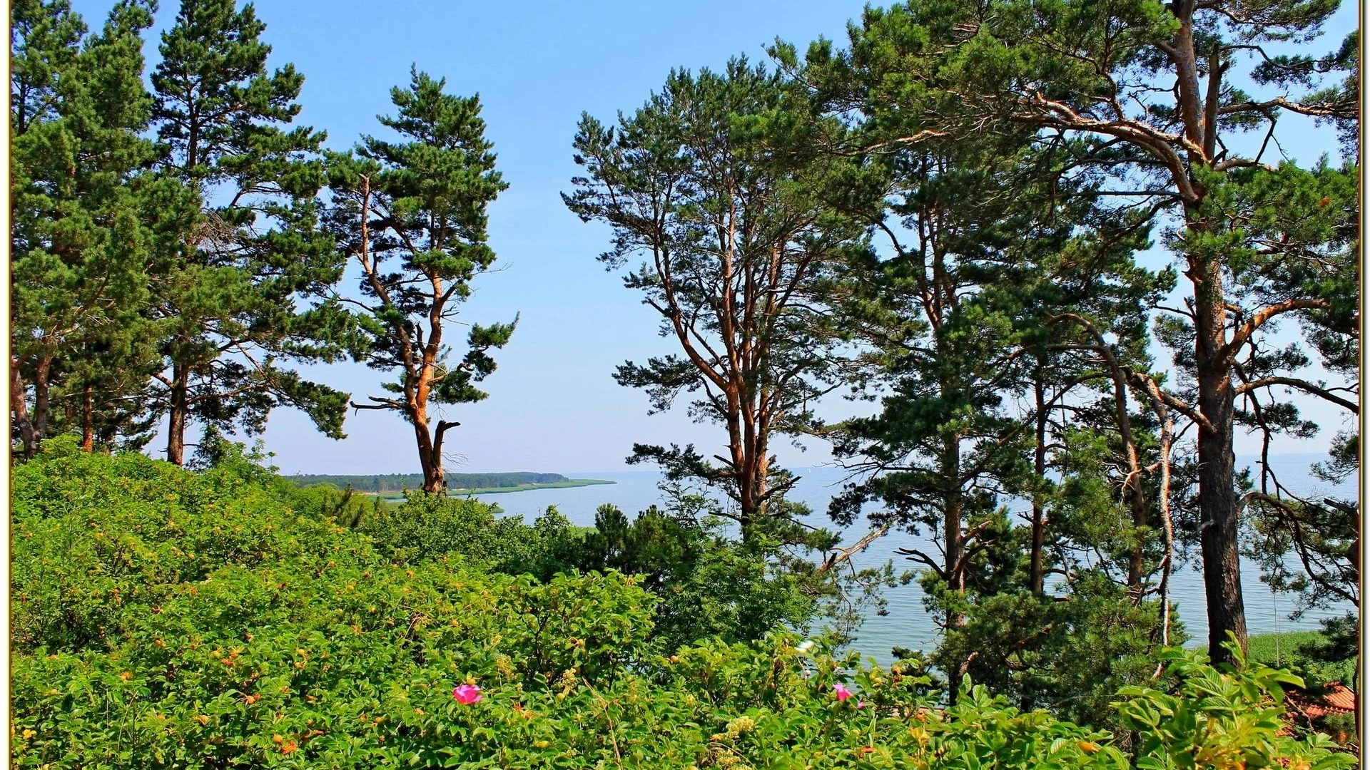 лето, море, берег